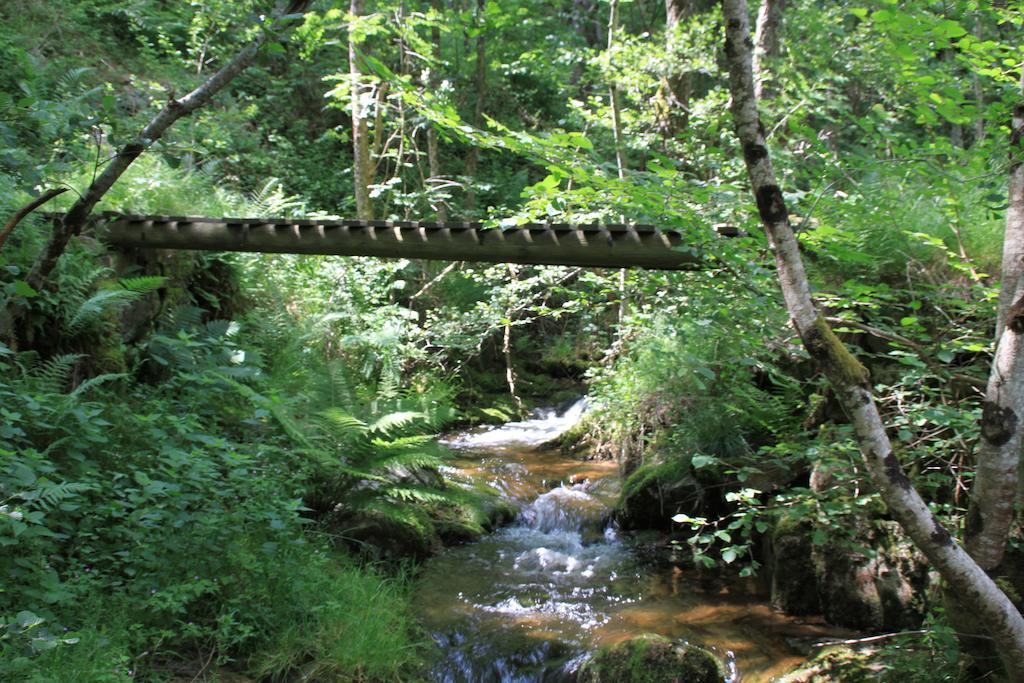 Bed & Breakfast Les D'hotes Le Triskele